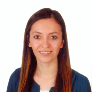 haticebirtane.png (105 KB)